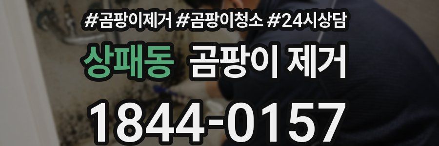 상패동 곰팡이 제거