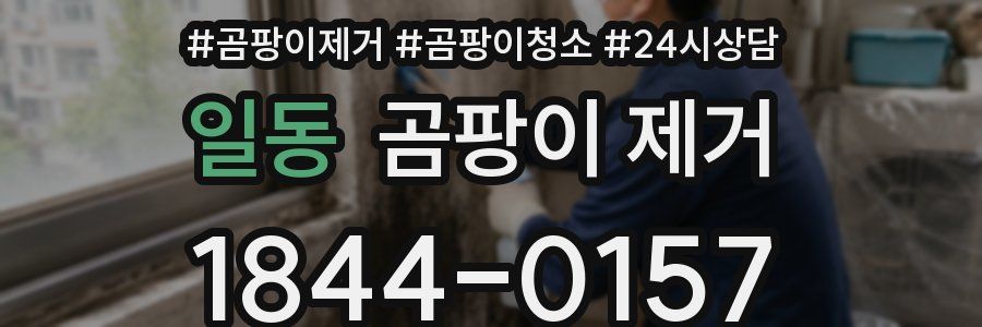 일동 곰팡이 제거
