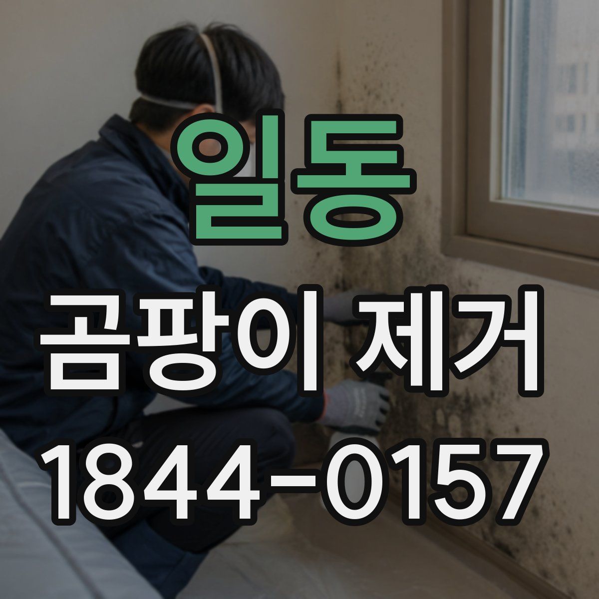 일동 곰팡이 제거