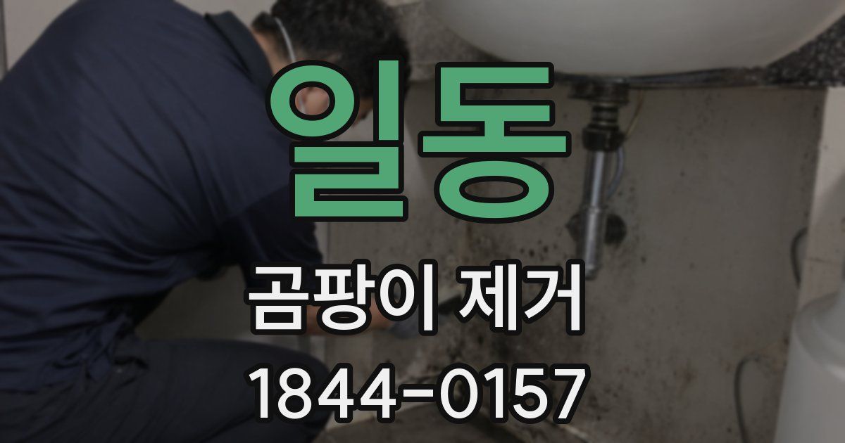 일동 곰팡이 제거