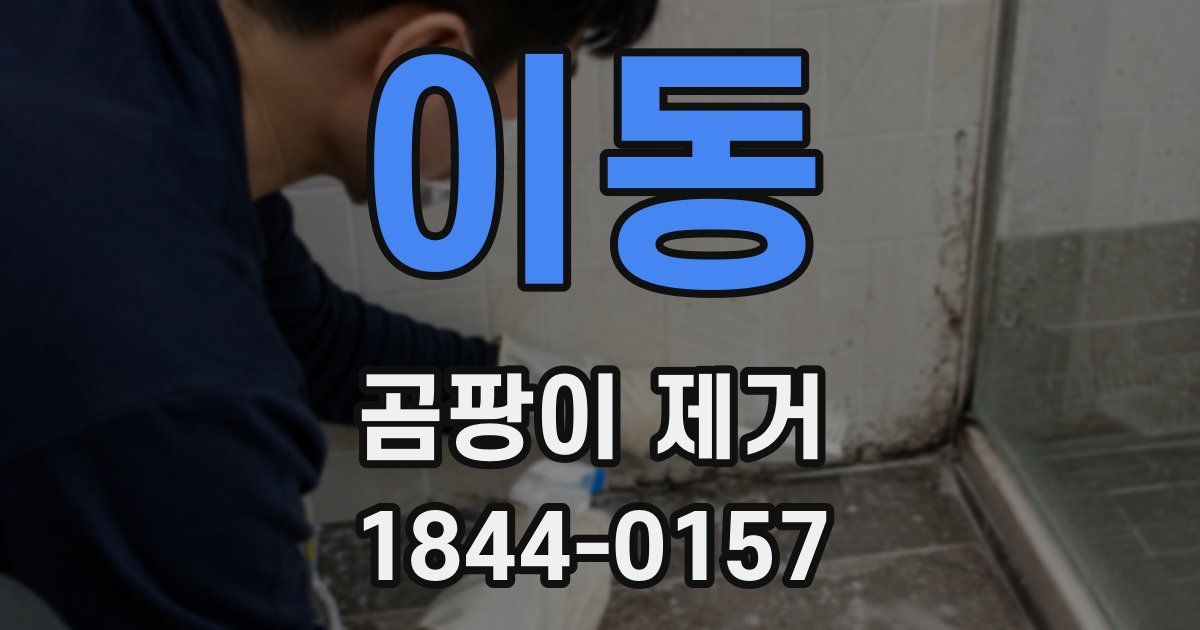 이동 곰팡이 제거