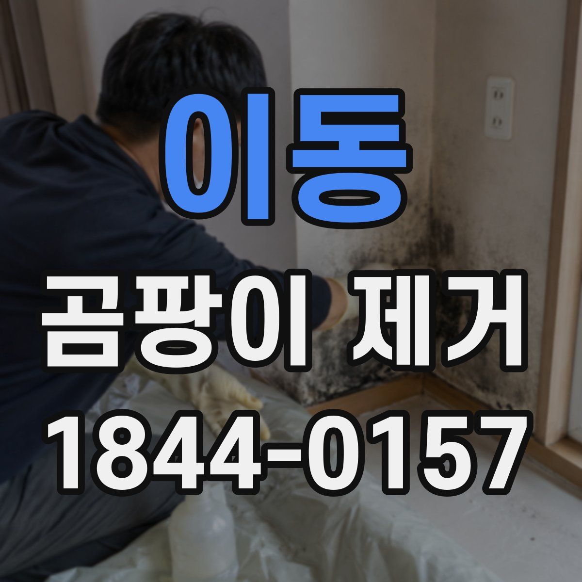이동 곰팡이 제거