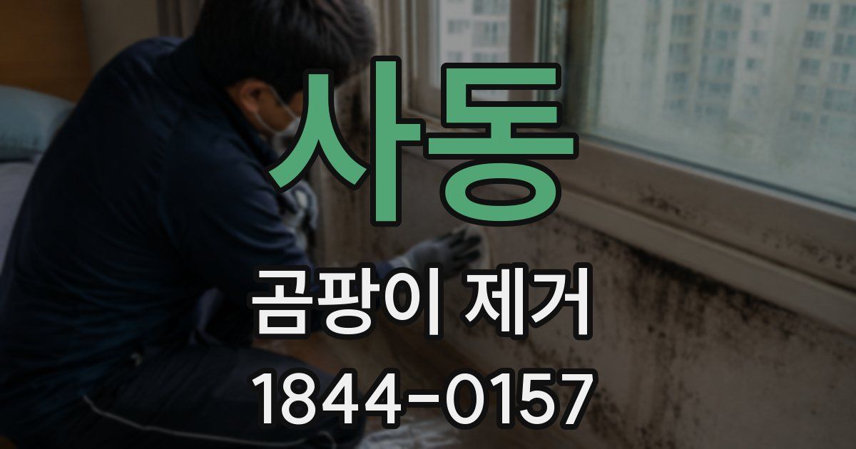 사동 곰팡이 제거