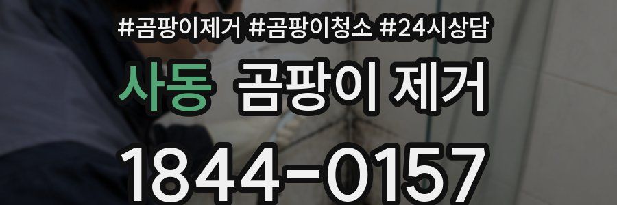 사동 곰팡이 제거