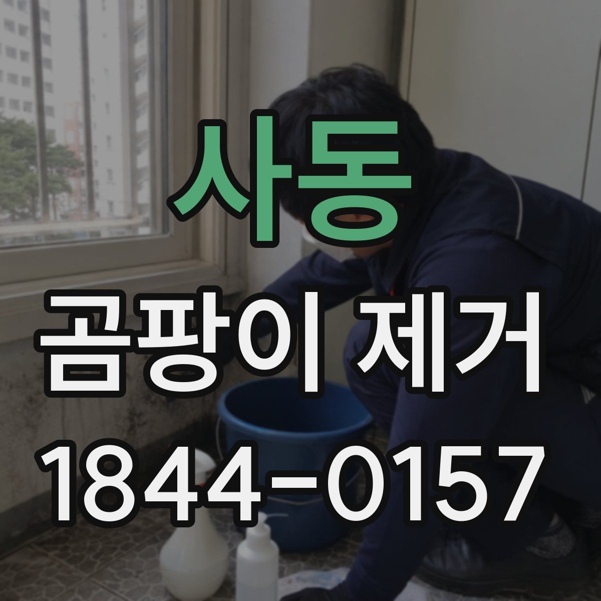 사동 곰팡이 제거