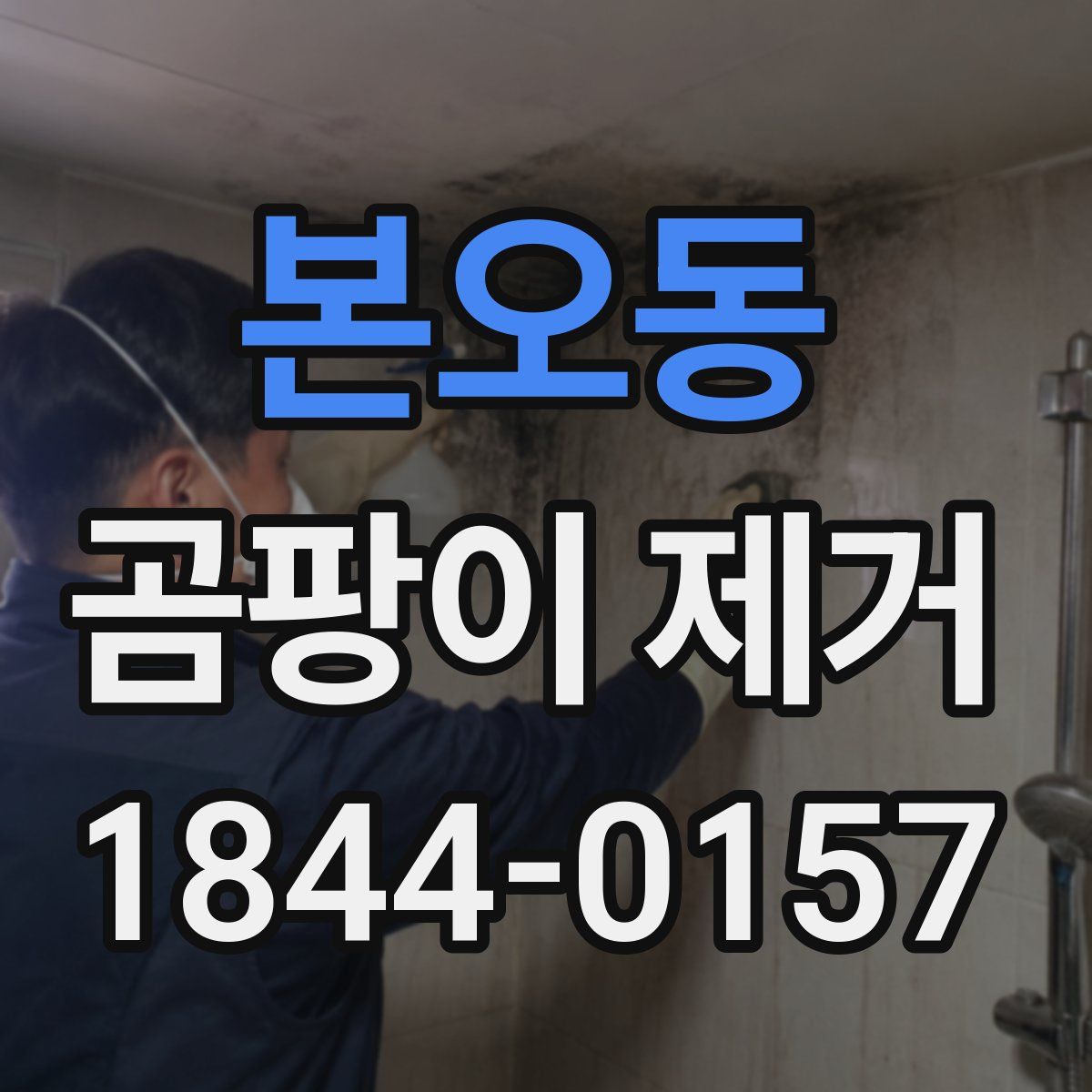 본오동 곰팡이 제거