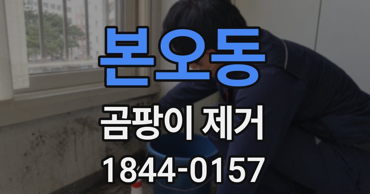 본오동 곰팡이 제거