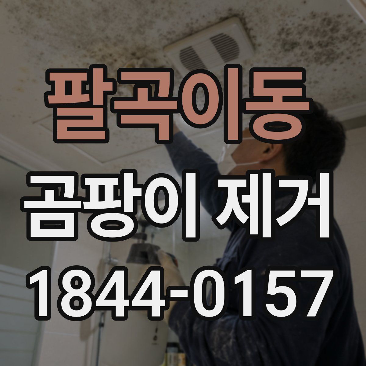 팔곡이동 곰팡이 제거