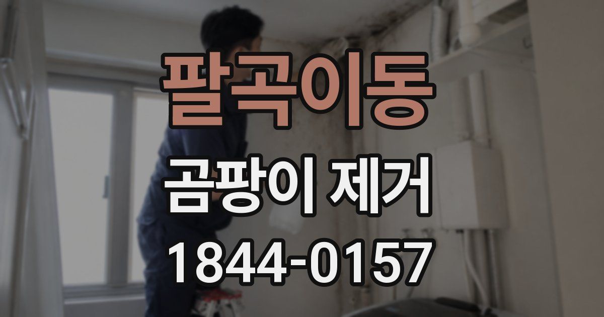 팔곡이동 곰팡이 제거