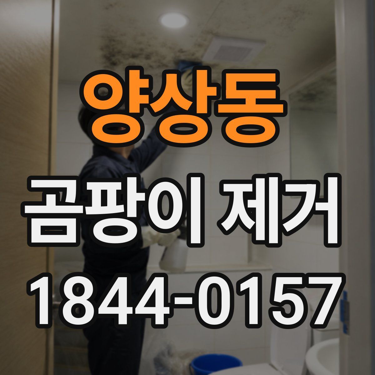 양상동 곰팡이 제거