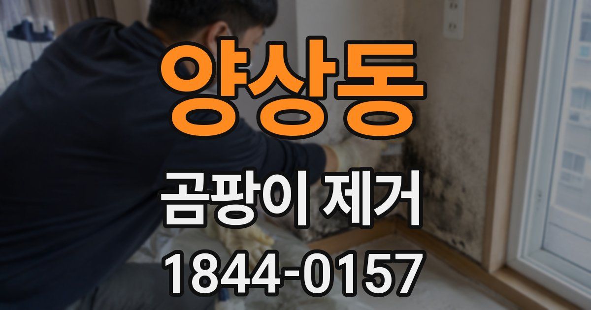 양상동 곰팡이 제거