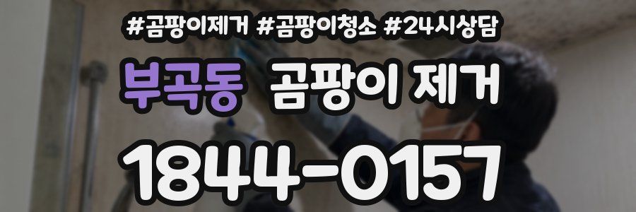 부곡동 곰팡이 제거