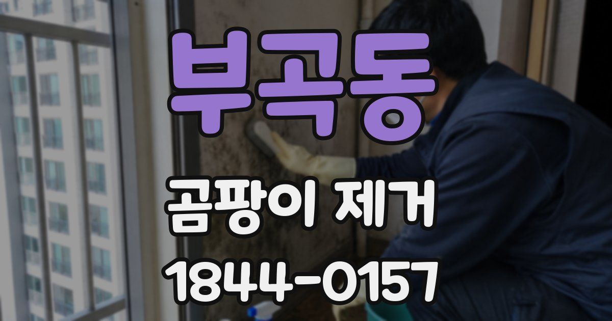 부곡동 곰팡이 제거