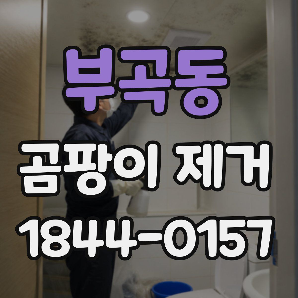 부곡동 곰팡이 제거