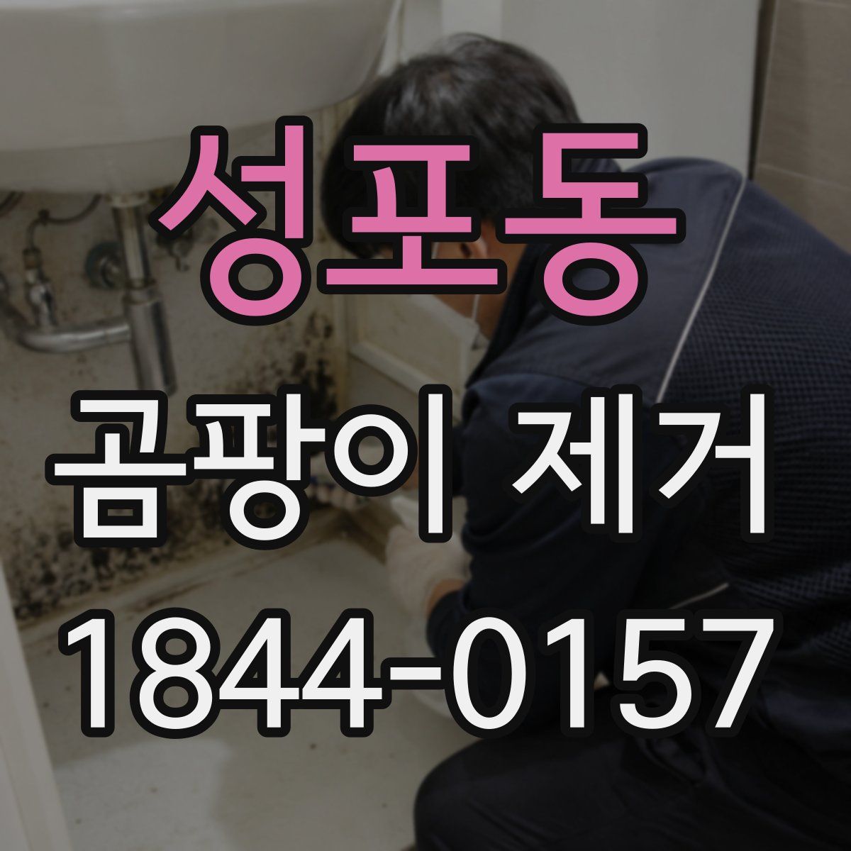 성포동 곰팡이 제거
