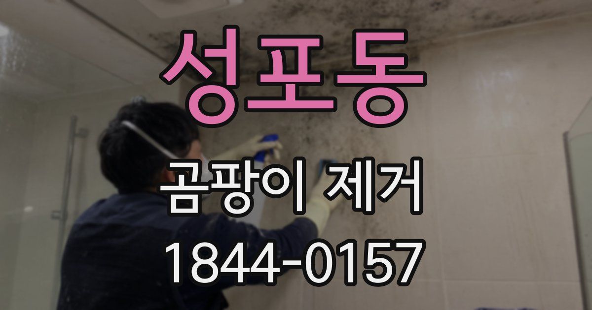 성포동 곰팡이 제거