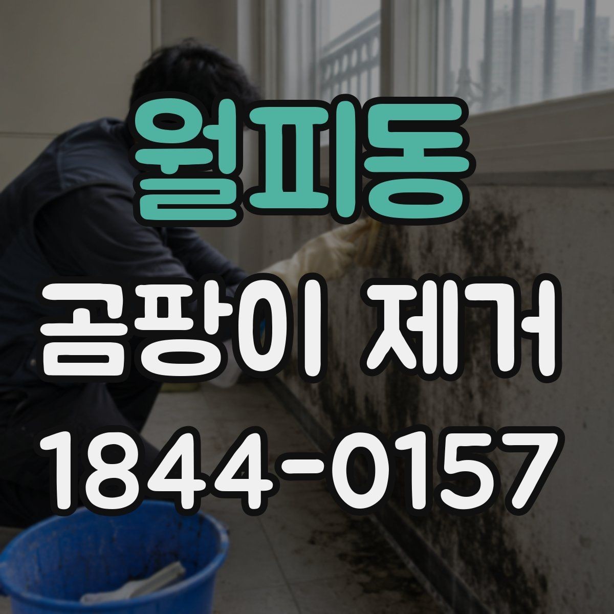 월피동 곰팡이 제거 누수 의심 구간을 찾는 순서