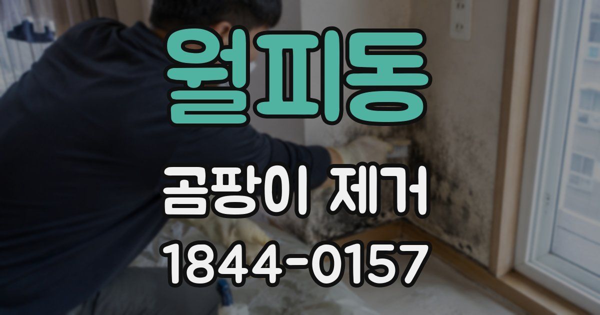 월피동 곰팡이 제거