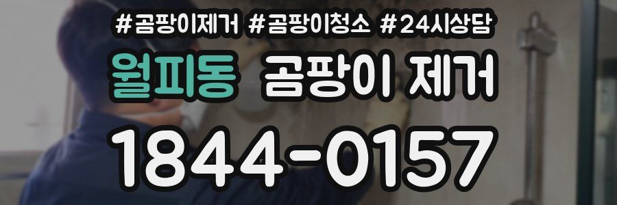 월피동 곰팡이 제거