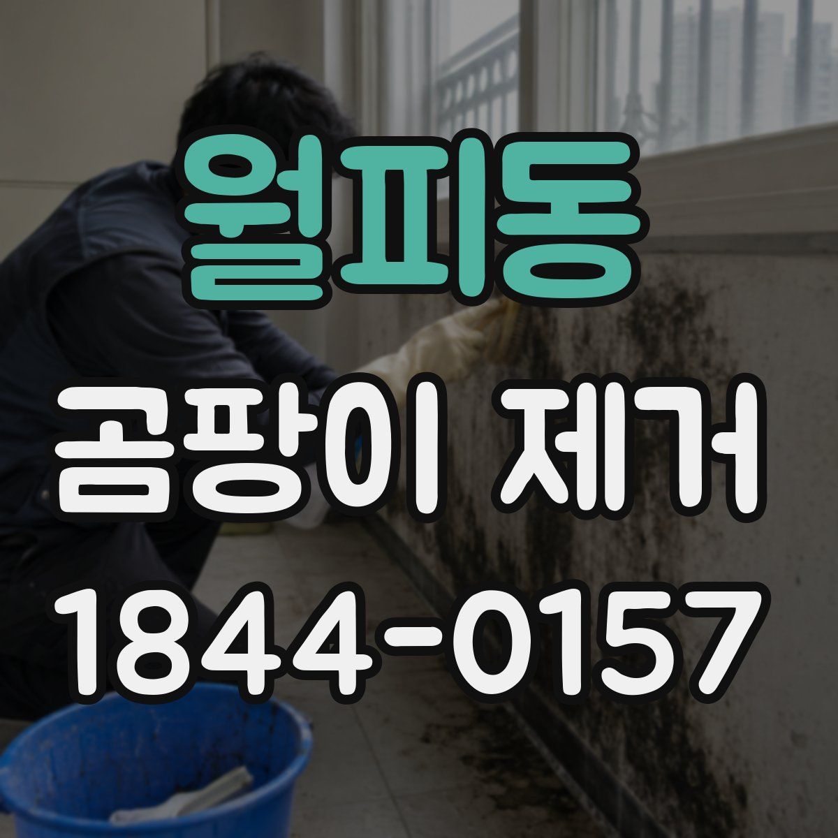 월피동 곰팡이 제거