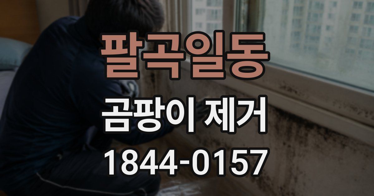 팔곡일동 곰팡이 제거