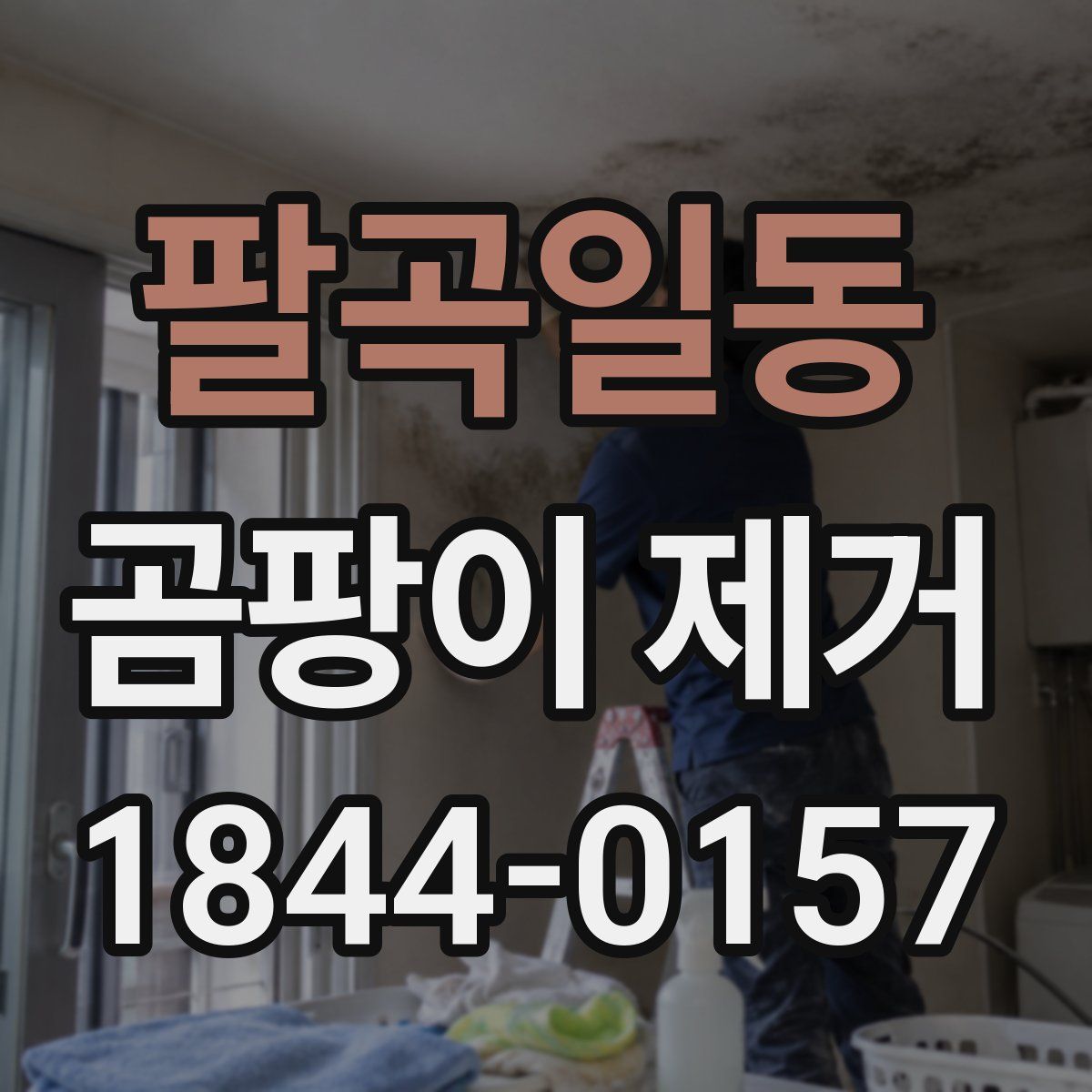 팔곡일동 곰팡이 제거