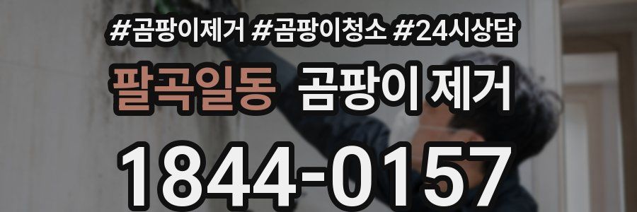 팔곡일동 곰팡이 제거