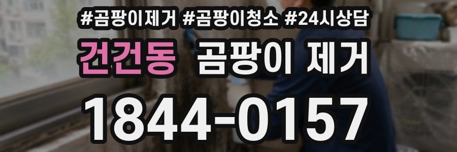 건건동 곰팡이 제거