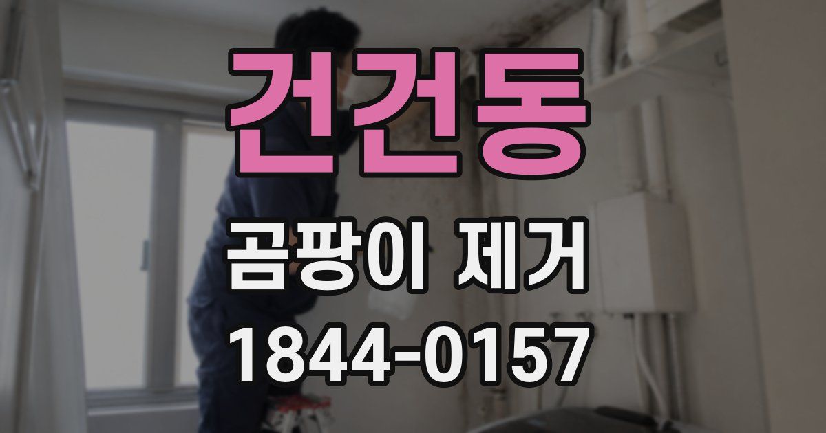 건건동 곰팡이 제거