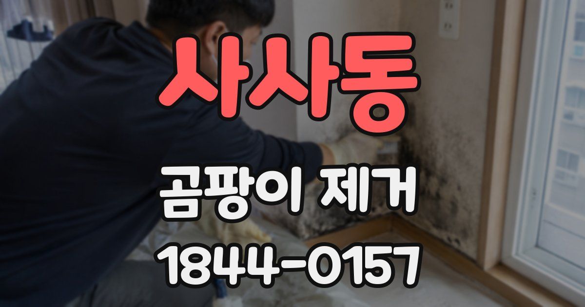 사사동 곰팡이 제거