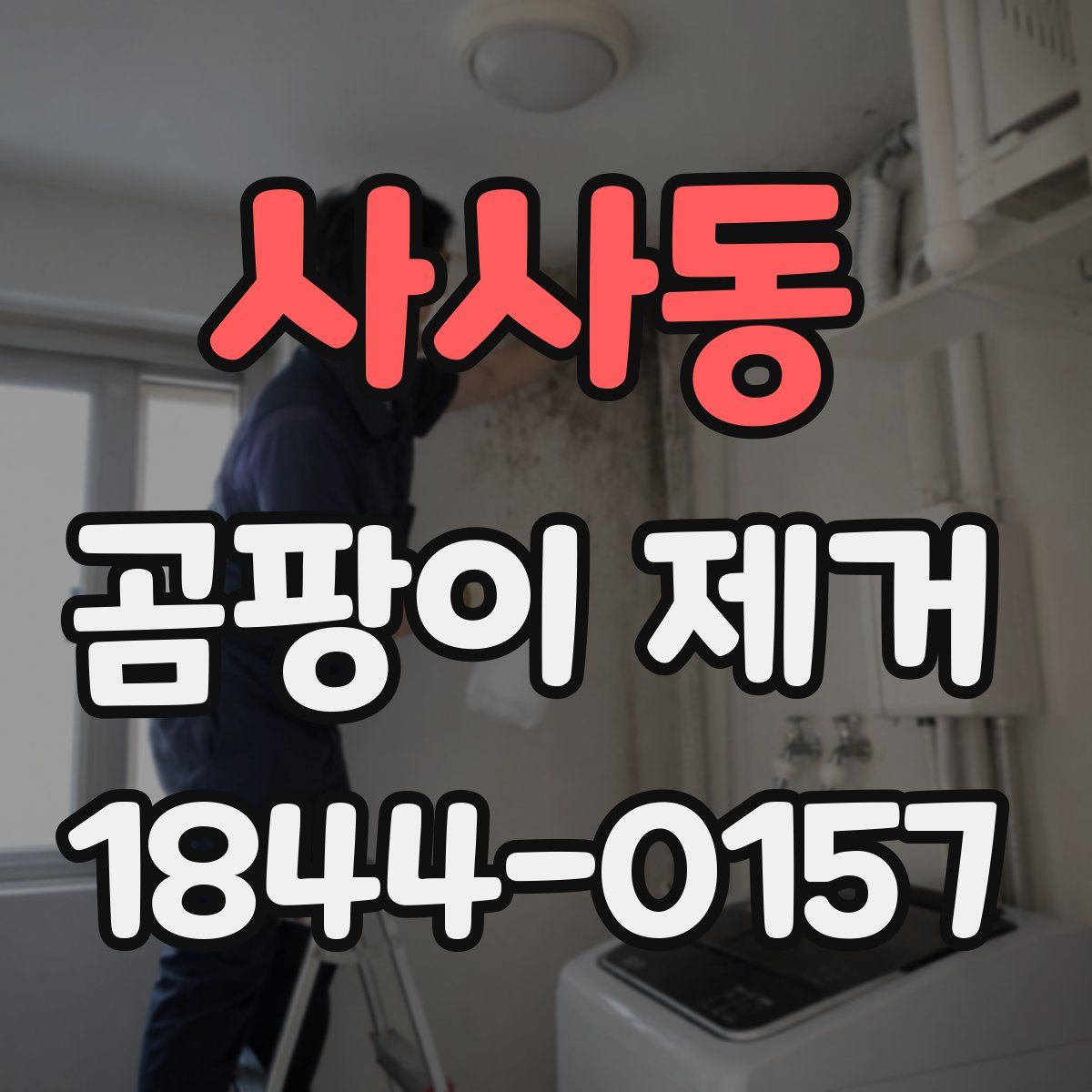 사사동 곰팡이 제거