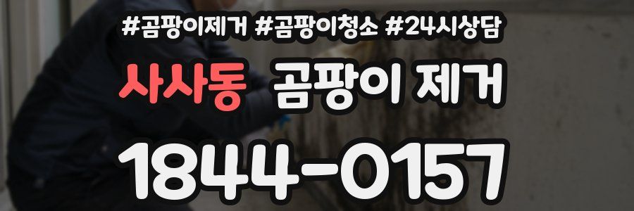 사사동 곰팡이 제거