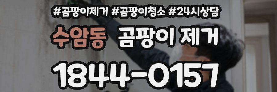 수암동 곰팡이 제거