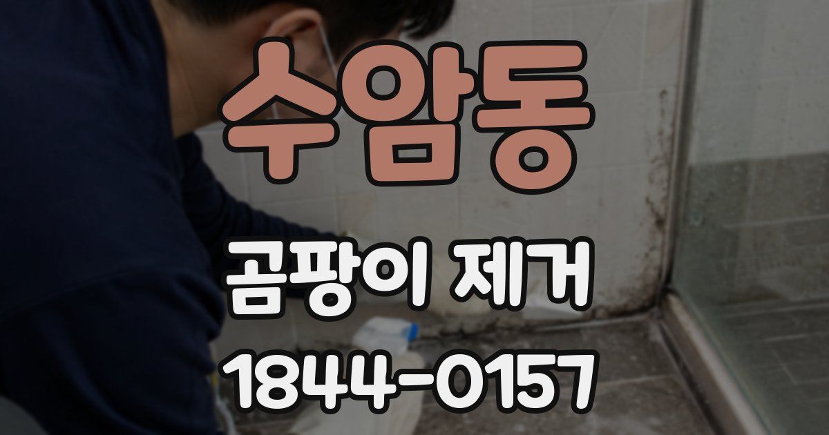 수암동 곰팡이 제거