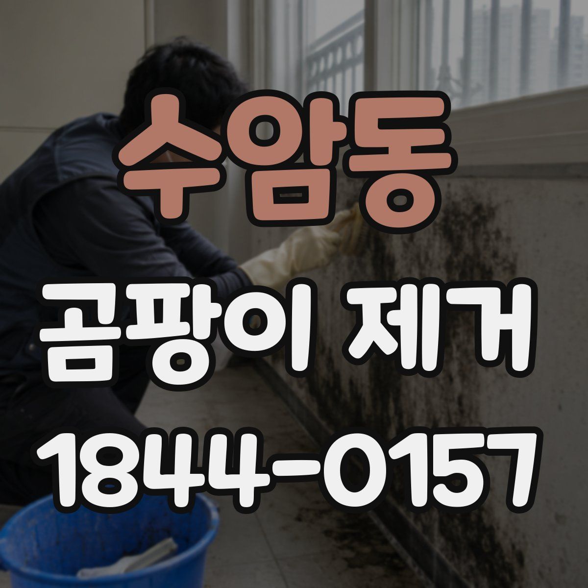 수암동 곰팡이 제거