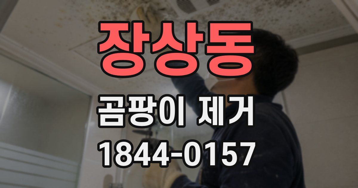 장상동 곰팡이 제거
