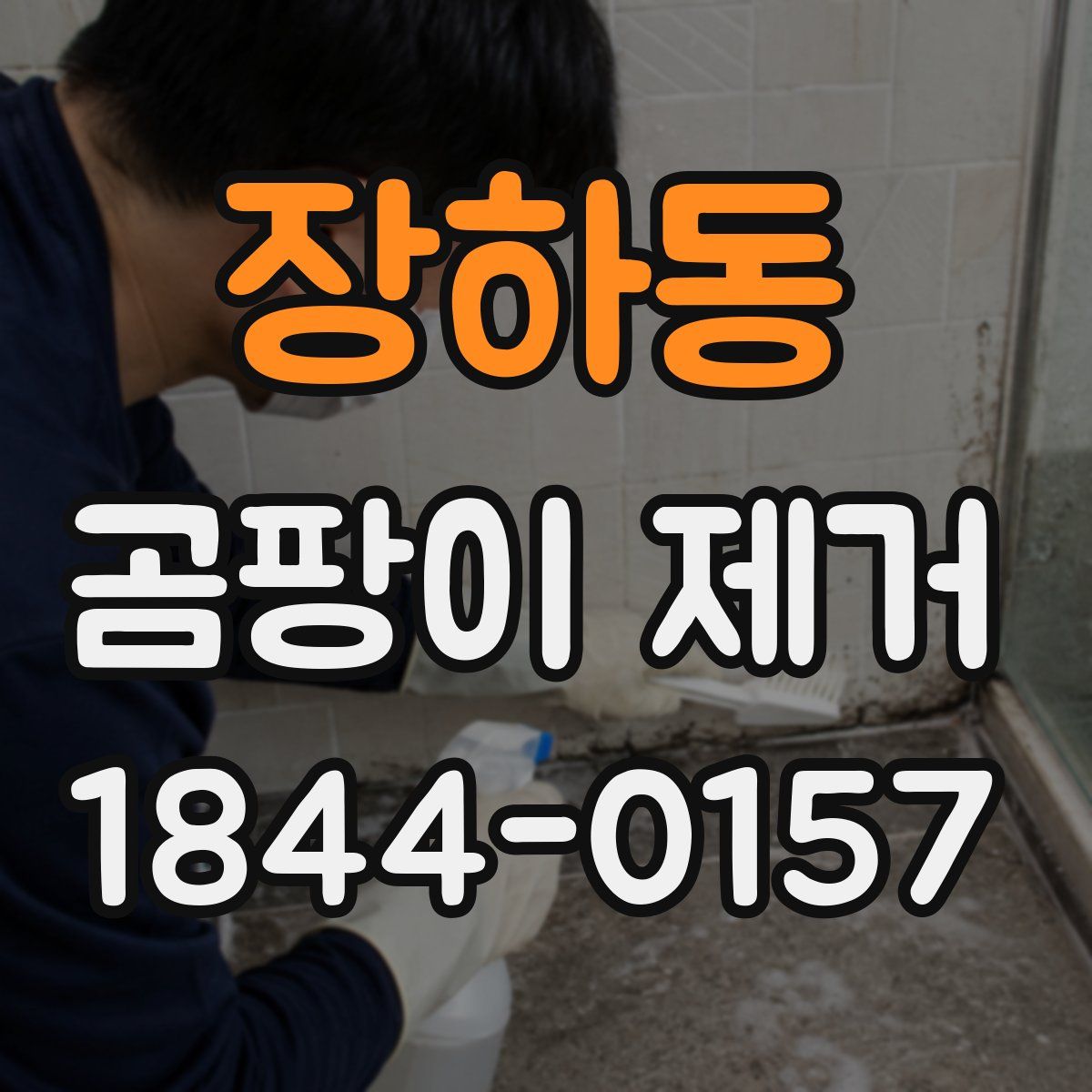 장하동 곰팡이 제거