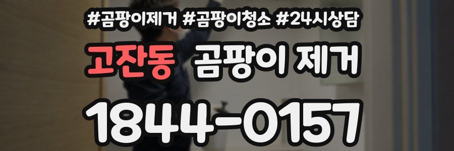 고잔동 곰팡이 제거
