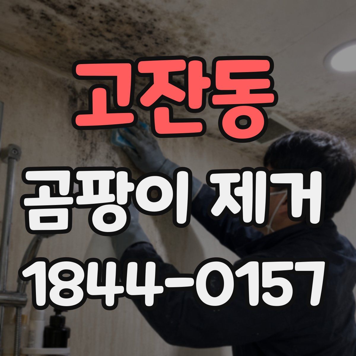 고잔동 곰팡이 제거