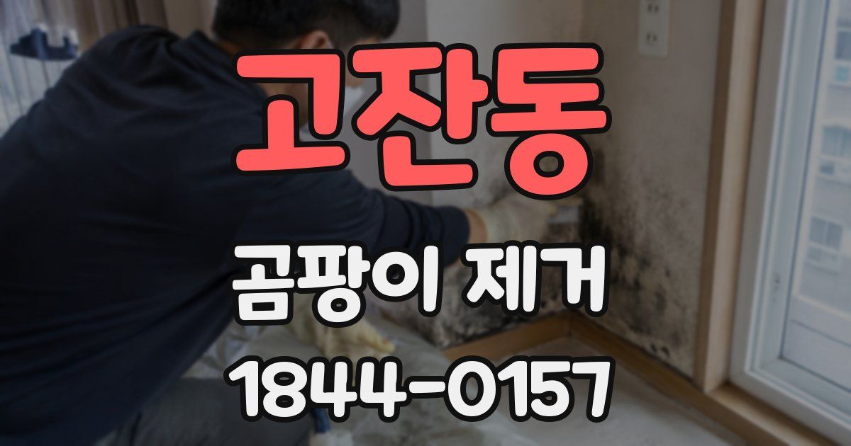 고잔동 곰팡이 제거
