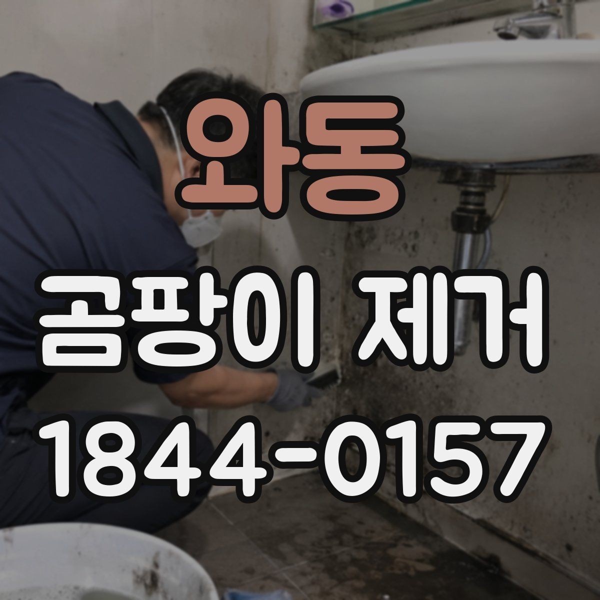 와동 곰팡이 제거 세척보다 건조가 먼저인 이유
