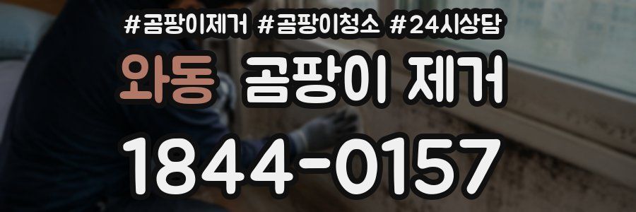 와동 곰팡이 제거