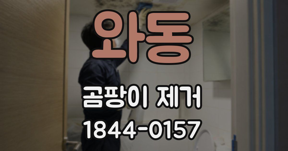 와동 곰팡이 제거