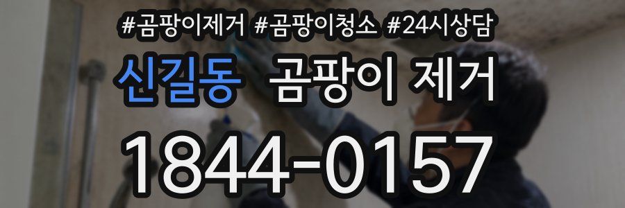 신길동 곰팡이 제거