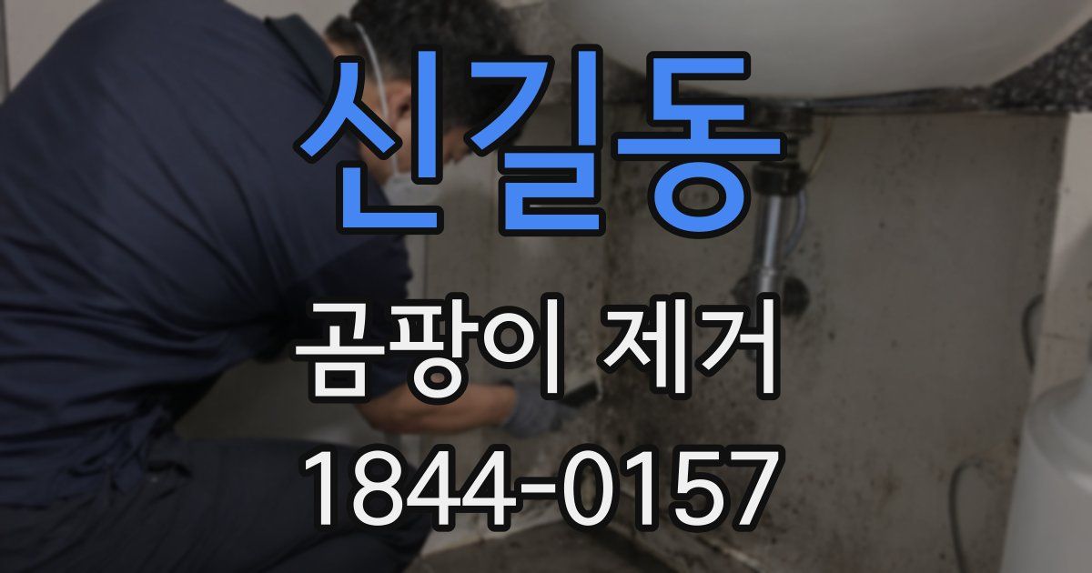 신길동 곰팡이 제거