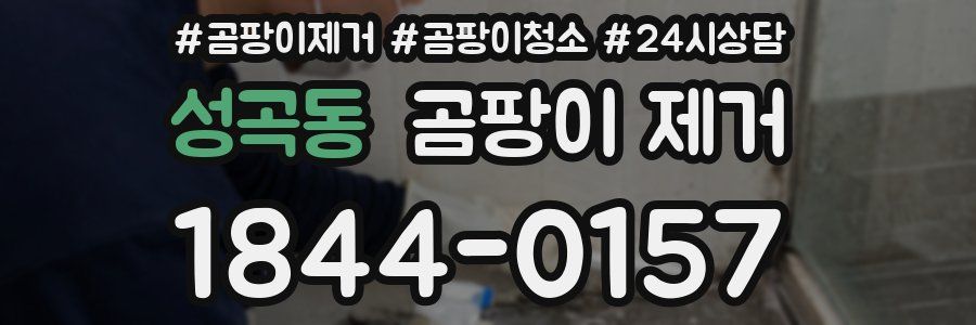 성곡동 곰팡이 제거