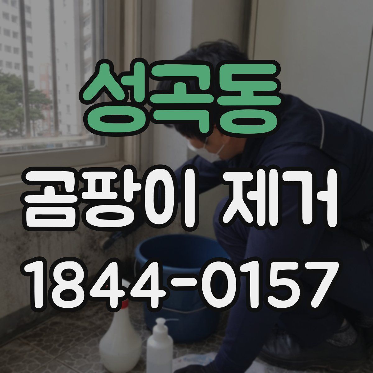 성곡동 곰팡이 제거