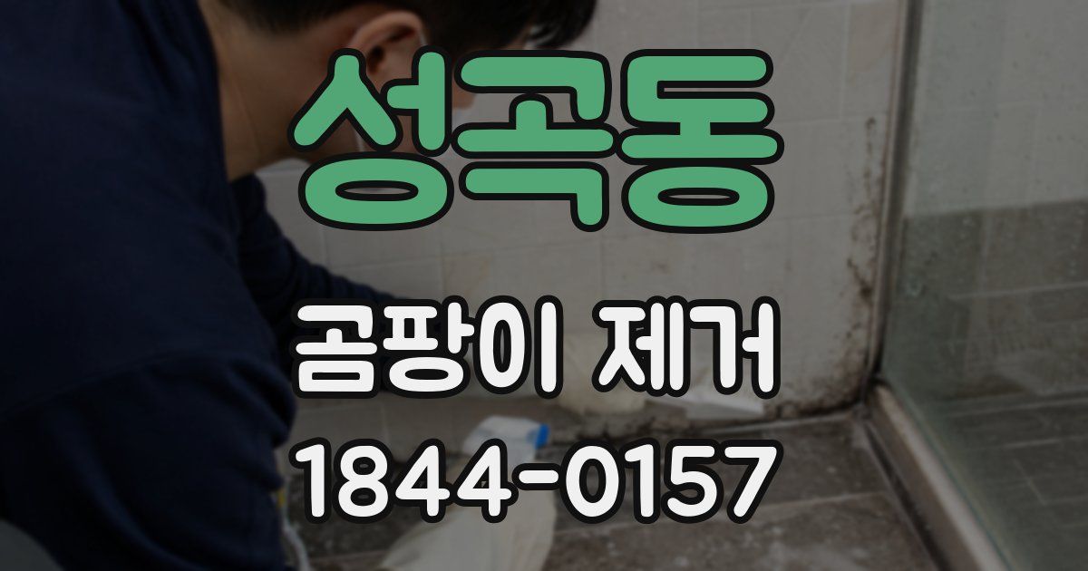 성곡동 곰팡이 제거