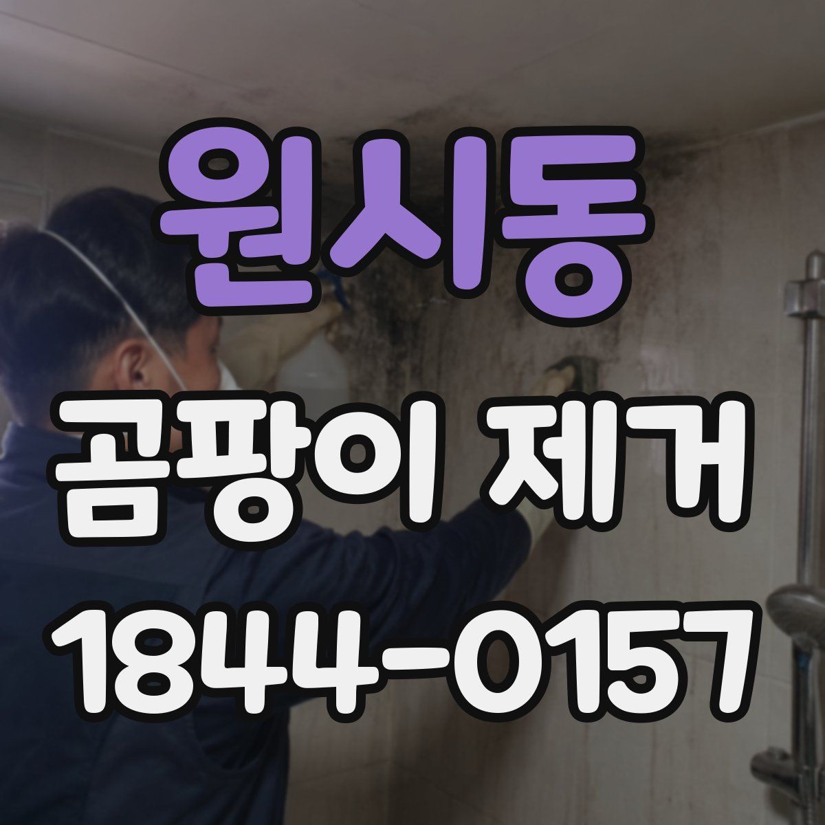 원시동 곰팡이 제거