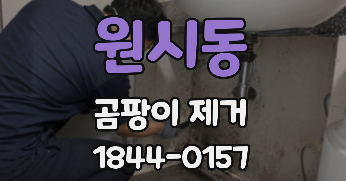 원시동 곰팡이 제거
